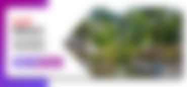 dandeli students package