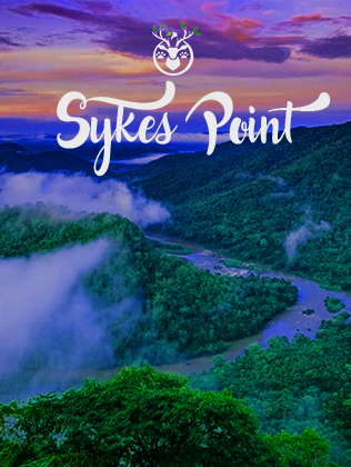 sykes point dandeli