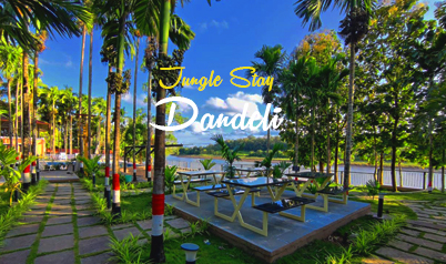 Jungle Stay for Families