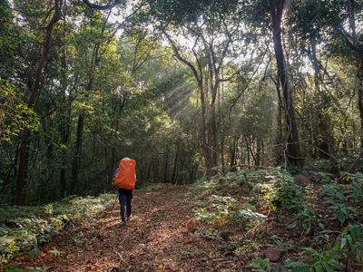 Trekking